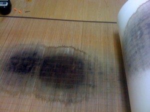 Mold on tatami under a futon