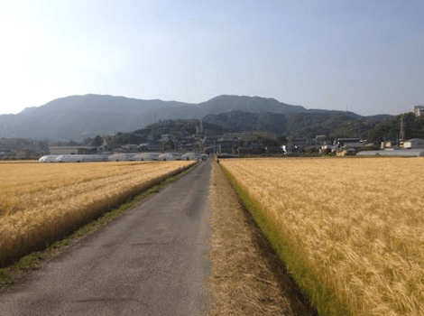 Screen shot 2014-05-21 at 5.44.05 PM