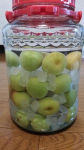 Umeshu