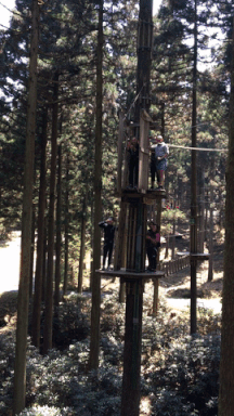 18336930_1327747910672598_1839825706_n